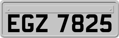 EGZ7825