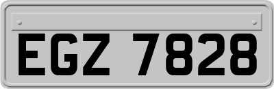 EGZ7828