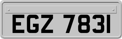 EGZ7831