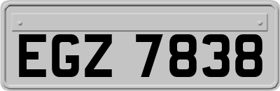 EGZ7838