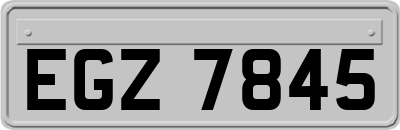 EGZ7845