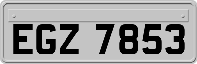 EGZ7853
