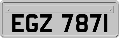 EGZ7871