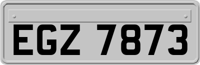 EGZ7873