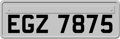 EGZ7875