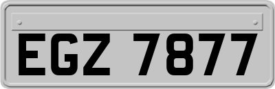 EGZ7877