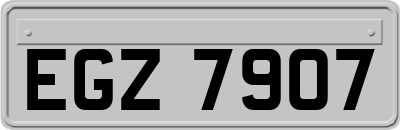 EGZ7907