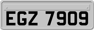 EGZ7909