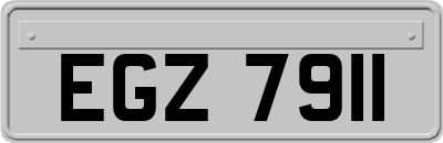 EGZ7911