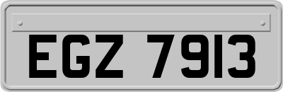 EGZ7913