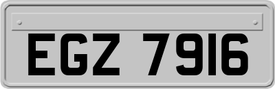 EGZ7916