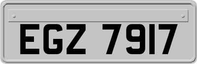 EGZ7917