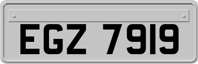 EGZ7919