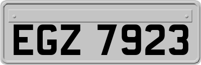 EGZ7923