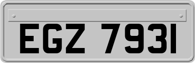 EGZ7931