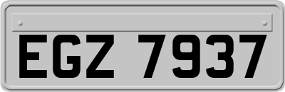 EGZ7937