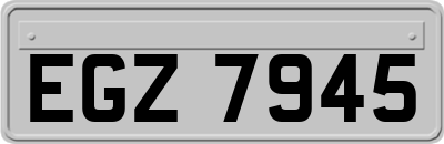 EGZ7945