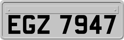 EGZ7947