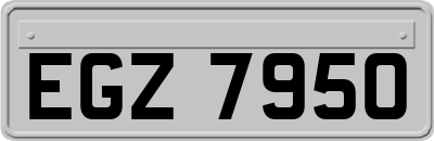 EGZ7950