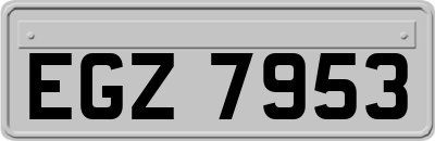 EGZ7953