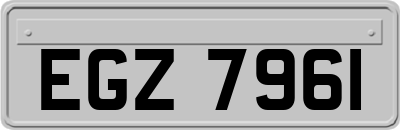 EGZ7961