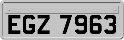 EGZ7963