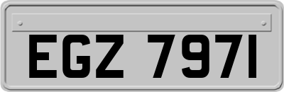 EGZ7971