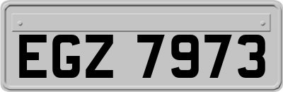 EGZ7973