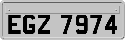 EGZ7974
