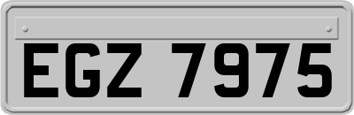 EGZ7975