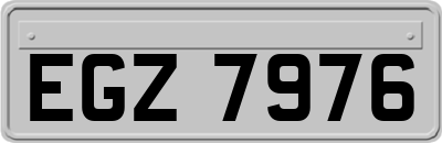 EGZ7976
