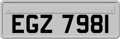 EGZ7981