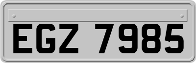 EGZ7985
