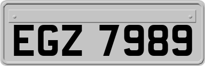 EGZ7989