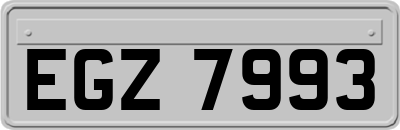 EGZ7993