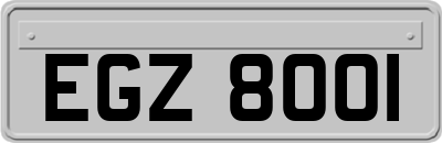 EGZ8001