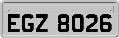 EGZ8026