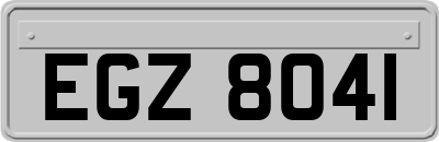 EGZ8041