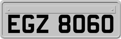 EGZ8060