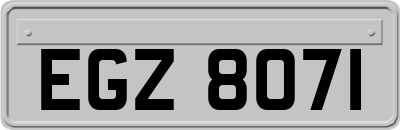 EGZ8071
