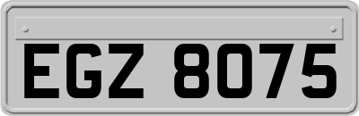EGZ8075