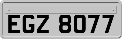 EGZ8077