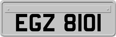 EGZ8101