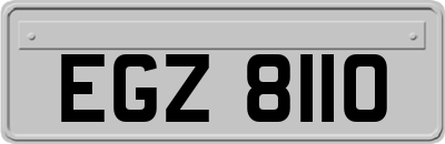 EGZ8110