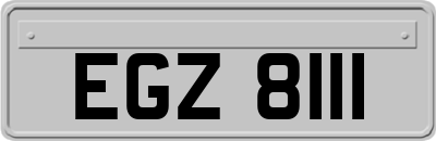 EGZ8111