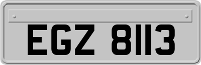 EGZ8113