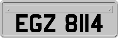 EGZ8114