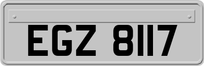EGZ8117