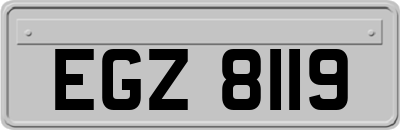 EGZ8119