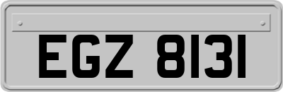 EGZ8131